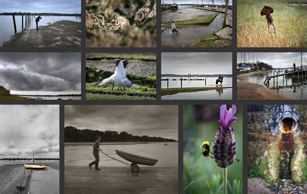 photographic day montage